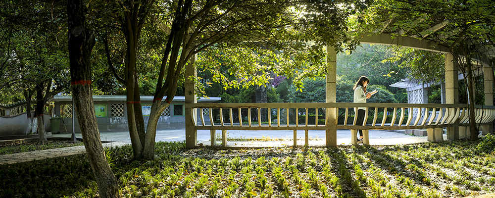 陜西省國(guó)家“雙一流”培育高校