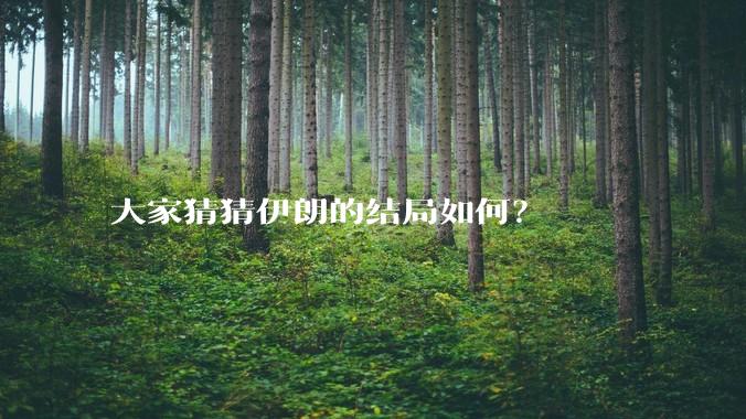 大家猜猜伊朗的结局如何?