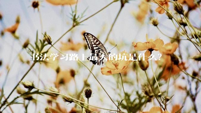 书法学习路上最大的坑是什么?