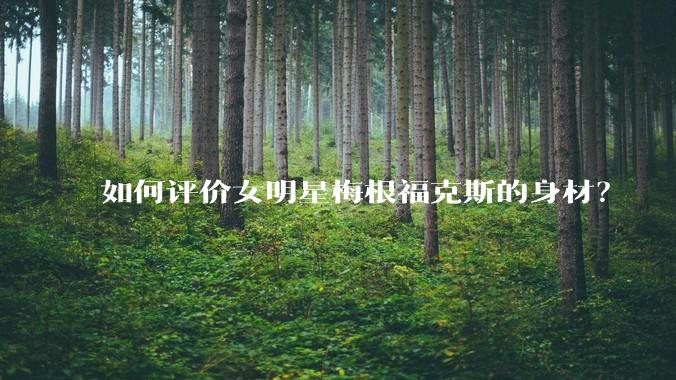 如何评价女明星梅根福克斯的身材?