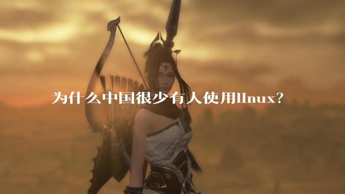 为什么中国很少有人使用linux?
