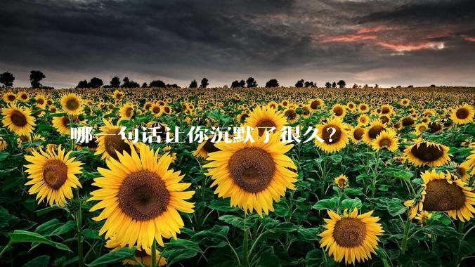 哪一句话让你沉默了很久?