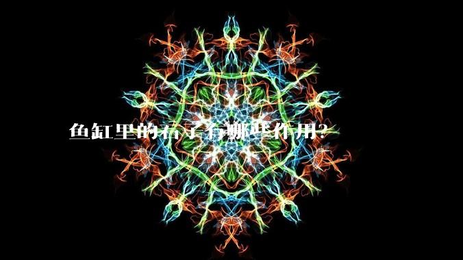 鱼缸里的石子有哪些作用?