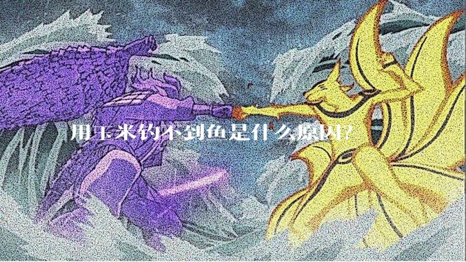 用玉米钓不到鱼是什么原因?